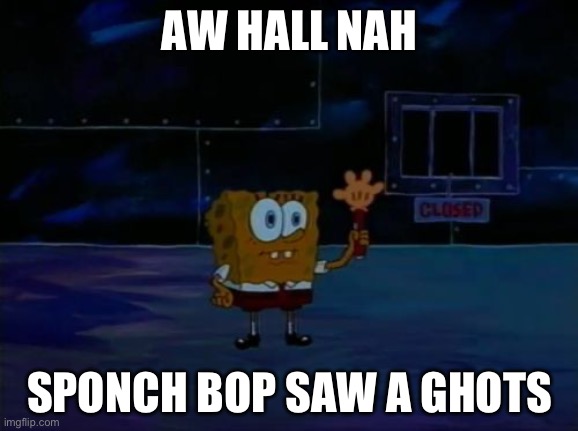Nah bro | AW HALL NAH; SPONCH BOP SAW A GHOTS | image tagged in memes,funny | made w/ Imgflip meme maker