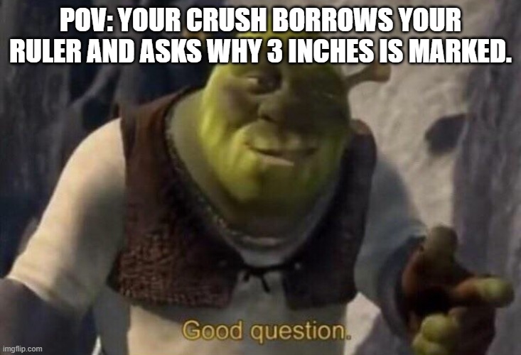 Shrek Good Question Meme Template | POV: YOUR CRUSH BORROWS YOUR RULER AND ASKS WHY 3 INCHES IS MARKED. | image tagged in shrek good question meme template | made w/ Imgflip meme maker