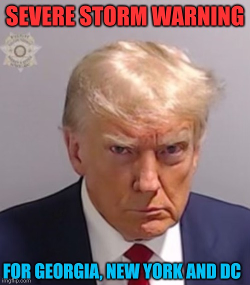 Them: Trump cannot withstand the stormMe: Trump IS the storm | SEVERE STORM WARNING; FOR GEORGIA, NEW YORK AND DC | image tagged in donald trump mugshot,storm,hurricane,trump | made w/ Imgflip meme maker