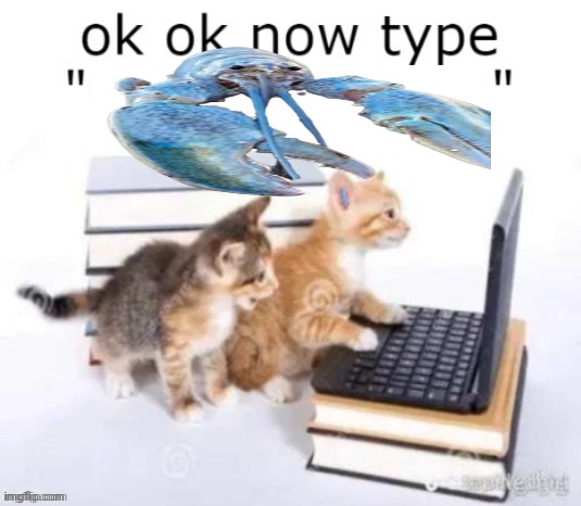 ok ok now type | image tagged in ok ok now type | made w/ Imgflip meme maker