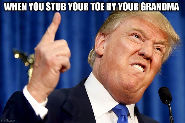 Stubbing your toe by grandma | WHEN YOU STUB YOUR TOE BY YOUR GRANDMA | image tagged in donald trump | made w/ Imgflip meme maker