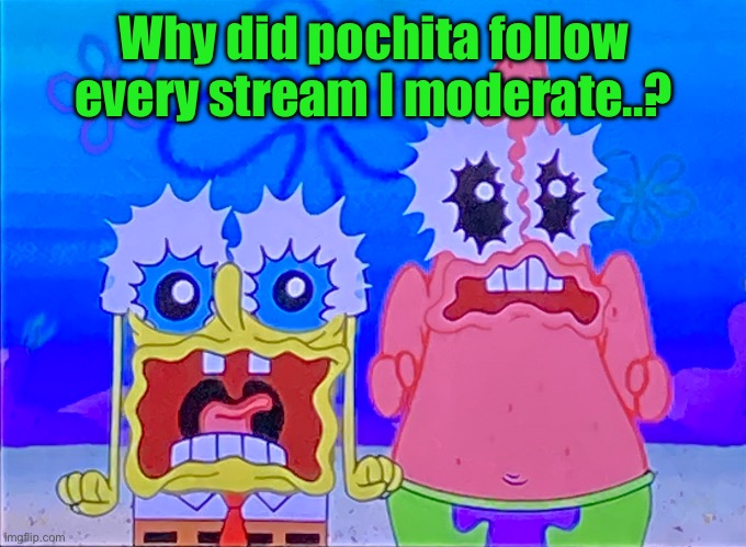 Scare spongboob and patrichard | Why did pochita follow every stream I moderate..? | image tagged in scare spongboob and patrichard | made w/ Imgflip meme maker