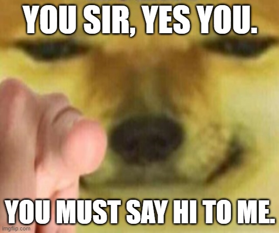 Do it. | YOU SIR, YES YOU. YOU MUST SAY HI TO ME. | image tagged in cheems point | made w/ Imgflip meme maker