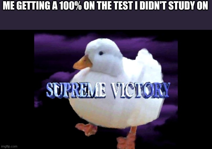 Imagine the thoughts the smart kids have right now | ME GETTING A 100% ON THE TEST I DIDN'T STUDY ON | image tagged in supreme victory duck,inspired by another guy | made w/ Imgflip meme maker