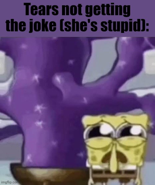 Zad Spunchbop | Tears not getting the joke (she's stupid): | image tagged in zad spunchbop | made w/ Imgflip meme maker