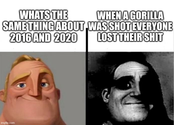Teacher's Copy | WHEN A GORILLA WAS SHOT EVERYONE LOST THEIR SHIT; WHATS THE SAME THING ABOUT 2016 AND  2020 | image tagged in teacher's copy | made w/ Imgflip meme maker