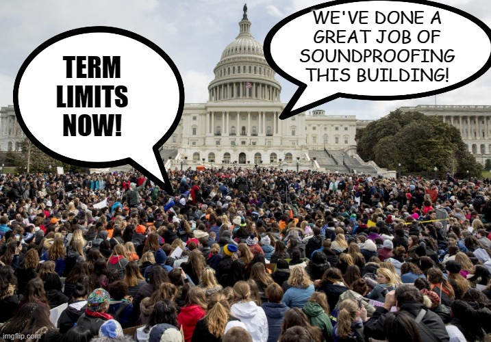 What's Good for the President... | WE'VE DONE A
GREAT JOB OF
SOUNDPROOFING
THIS BUILDING! TERM
LIMITS
NOW! | image tagged in protest at capitol,term limits,congress | made w/ Imgflip meme maker