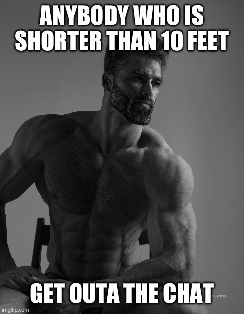 Giga Chad | ANYBODY WHO IS SHORTER THAN 10 FEET; GET OUTA THE CHAT | image tagged in giga chad | made w/ Imgflip meme maker