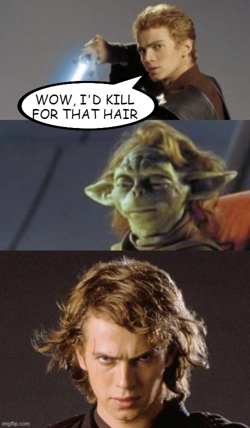 Yaddle's Fate | WOW, I'D KILL FOR THAT HAIR | image tagged in star wars | made w/ Imgflip meme maker