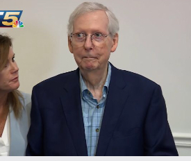 High Quality Mitch McConnell freezes again Blank Meme Template