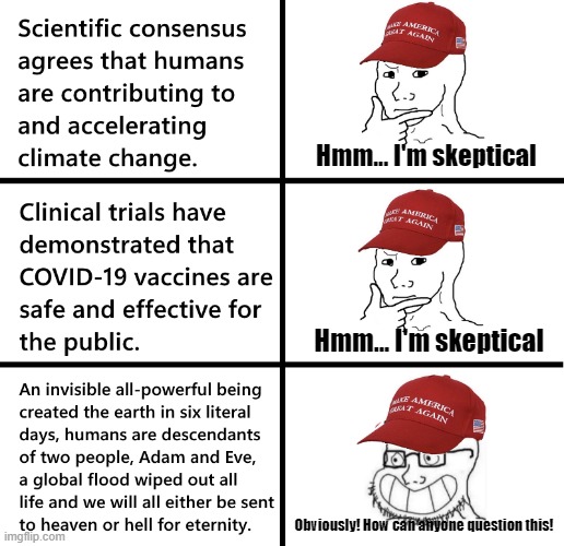 Conservative "skepticism" | Hmm... I'm skeptical; Hmm... I'm skeptical; Obviously! How can anyone question this! | image tagged in skeptical,conservative logic,religion,christianity,noah's ark,adam and eve | made w/ Imgflip meme maker