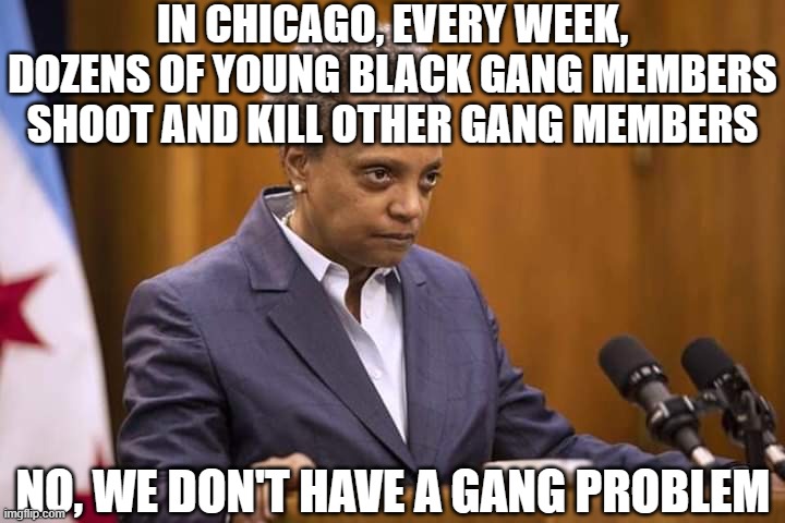 Mayor Chicago | IN CHICAGO, EVERY WEEK, DOZENS OF YOUNG BLACK GANG MEMBERS SHOOT AND KILL OTHER GANG MEMBERS NO, WE DON'T HAVE A GANG PROBLEM | image tagged in mayor chicago | made w/ Imgflip meme maker
