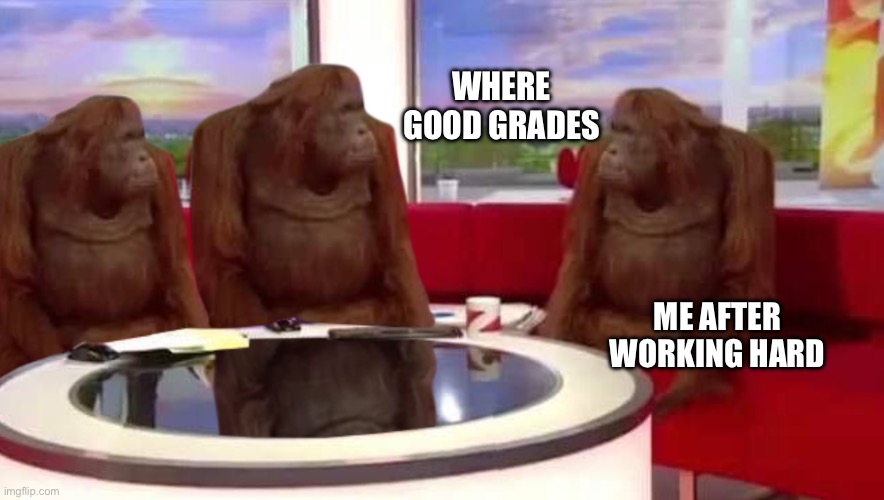 where monkey | WHERE GOOD GRADES; ME AFTER WORKING HARD | image tagged in where monkey | made w/ Imgflip meme maker