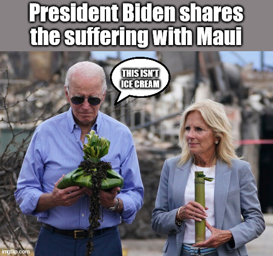 President Biden shares the suffering with Maui; THIS ISN'T ICE CREAM | image tagged in ice cream,maui | made w/ Imgflip meme maker