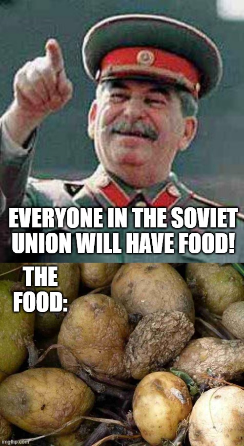 Communism Fails | THE FOOD:; EVERYONE IN THE SOVIET UNION WILL HAVE FOOD! | image tagged in stalin says | made w/ Imgflip meme maker