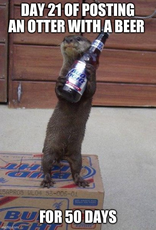 I forgot to post the last four days so I’ll do up to day 24 today | DAY 21 OF POSTING AN OTTER WITH A BEER; FOR 50 DAYS | image tagged in beer otter,otters,memes,funny,animals,funny memes | made w/ Imgflip meme maker