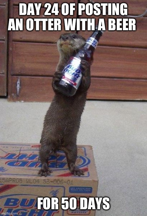 Day twenty four of posting an otter with a beer for 50 days | DAY 24 OF POSTING AN OTTER WITH A BEER; FOR 50 DAYS | image tagged in beer otter,otters,animals,funny,memes,funny memes | made w/ Imgflip meme maker