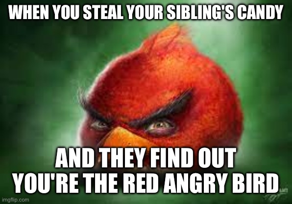 Realistic Red Angry Birds | WHEN YOU STEAL YOUR SIBLING'S CANDY; AND THEY FIND OUT YOU'RE THE RED ANGRY BIRD | image tagged in realistic red angry birds | made w/ Imgflip meme maker