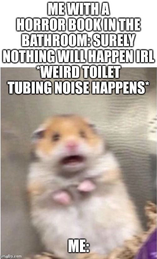 AAAAAAAAAAAA-- | ME WITH A HORROR BOOK IN THE BATHROOM: SURELY NOTHING WILL HAPPEN IRL
*WEIRD TOILET TUBING NOISE HAPPENS*; ME: | image tagged in scared hamster,memes,creepypasta,terrifying | made w/ Imgflip meme maker