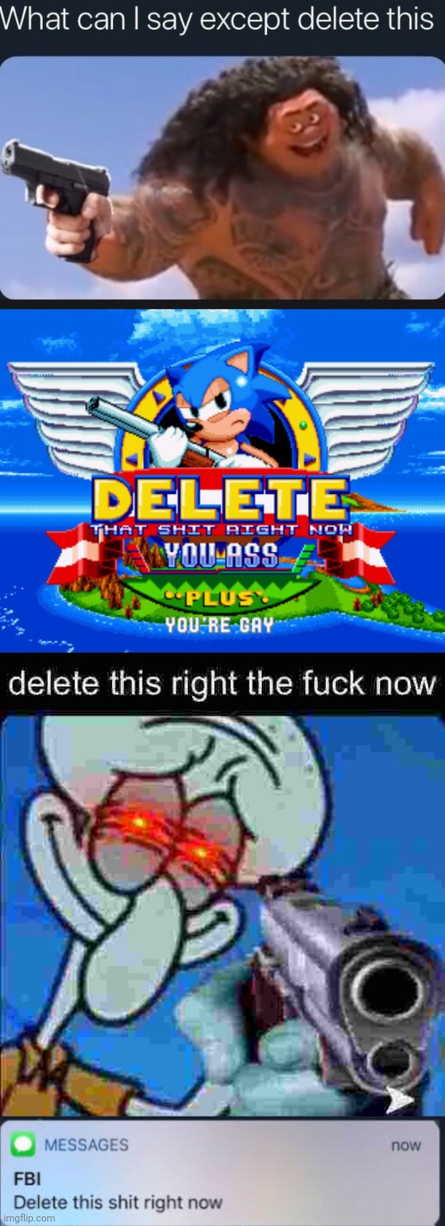 image tagged in what can i say except delete this,sonic holding a shotgun to tell you to delete,delete this right the f now | made w/ Imgflip meme maker