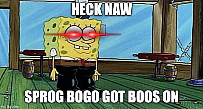 spunch bop boots | HECK NAW; SPROG BOGO GOT BOOS ON | image tagged in spunch bop boots | made w/ Imgflip meme maker