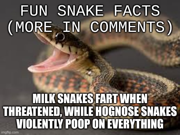 Warning Snake | FUN SNAKE FACTS (MORE IN COMMENTS); MILK SNAKES FART WHEN THREATENED, WHILE HOGNOSE SNAKES VIOLENTLY POOP ON EVERYTHING | made w/ Imgflip meme maker