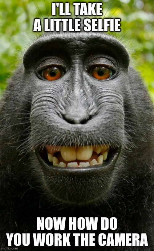 monkeying around | I'LL TAKE A LITTLE SELFIE; NOW HOW DO YOU WORK THE CAMERA | image tagged in camera | made w/ Imgflip meme maker