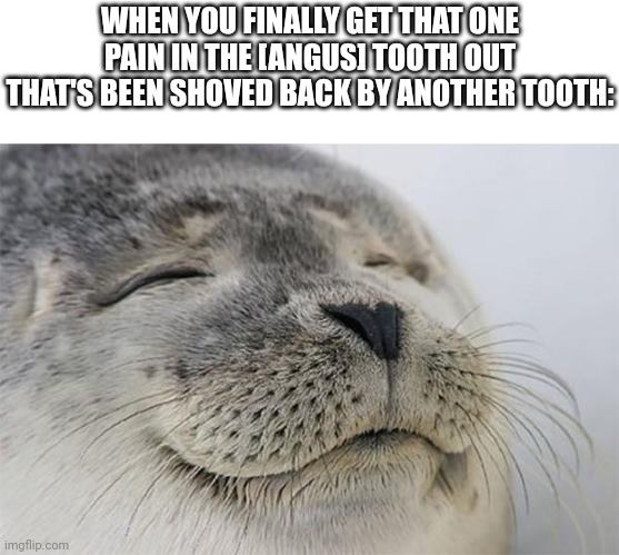 I got mine out a while ago, and I still recognize the place it was (not a wisdom tooth) | WHEN YOU FINALLY GET THAT ONE PAIN IN THE [ANGUS] TOOTH OUT THAT'S BEEN SHOVED BACK BY ANOTHER TOOTH: | image tagged in memes,satisfied seal,teeth | made w/ Imgflip meme maker