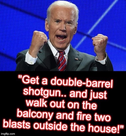 Biden explains how he would counter protesters opposed to gun control, or..... is it how he'd fight Climate Change? Nobody knows | image tagged in joe biden,alzheimer's | made w/ Imgflip meme maker