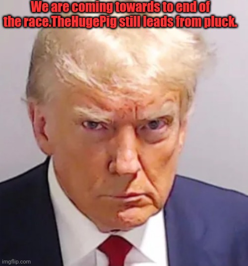 Continued from yesterday | We are coming towards to end of the race.TheHugePig still leads from pluck. | image tagged in trump mugshot | made w/ Imgflip meme maker