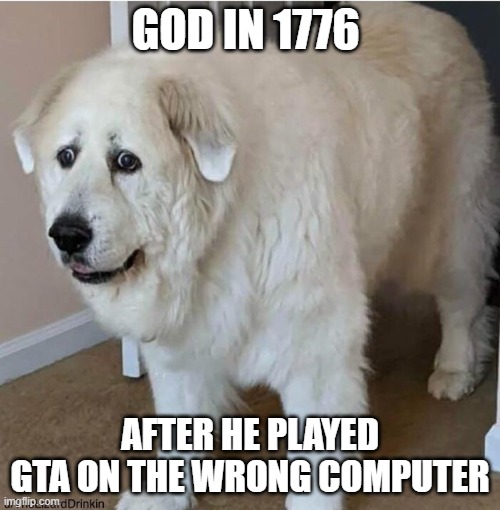 ah yes america | GOD IN 1776; AFTER HE PLAYED GTA ON THE WRONG COMPUTER | image tagged in scared dog,america,gta | made w/ Imgflip meme maker