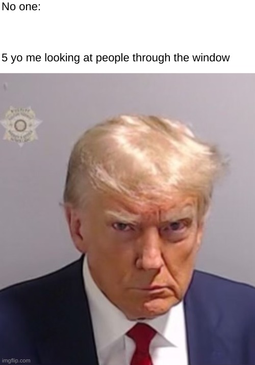 me | No one:

  
 
 
5 yo me looking at people through the window | image tagged in donald trump mugshot | made w/ Imgflip meme maker