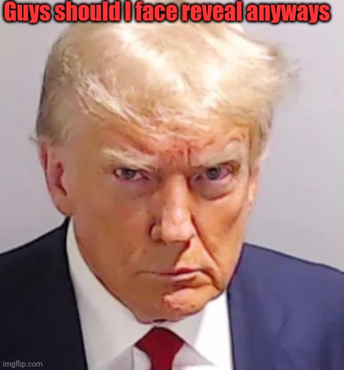 Trump mugshot | Guys should I face reveal anyways | image tagged in trump mugshot | made w/ Imgflip meme maker