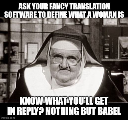 Frowning Nun Meme | ASK YOUR FANCY TRANSLATION SOFTWARE TO DEFINE WHAT A WOMAN IS KNOW WHAT YOU'LL GET IN REPLY? NOTHING BUT BABEL | image tagged in memes,frowning nun | made w/ Imgflip meme maker