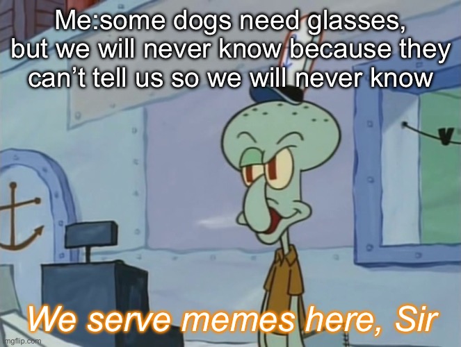 Dogs need glasses? | Me:some dogs need glasses, but we will never know because they can’t tell us so we will never know; We serve memes here, Sir | image tagged in we serve food here sir,memes,unfunny,dogs | made w/ Imgflip meme maker