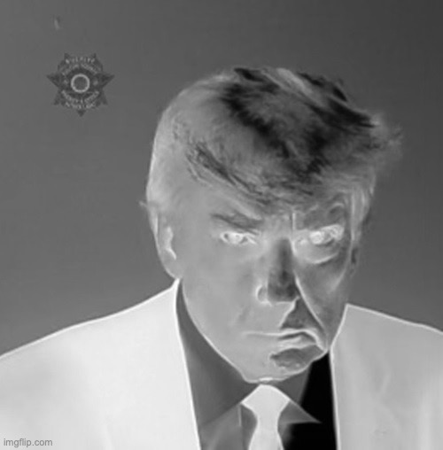 Trump Mugshot | image tagged in trump mugshot | made w/ Imgflip meme maker