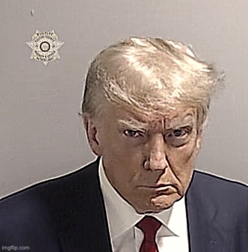 Trump Mugshot | image tagged in trump mugshot | made w/ Imgflip meme maker