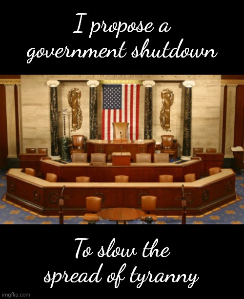 The one shutdown that will actually work. | I propose a government shutdown; To slow the spread of tyranny | image tagged in memes | made w/ Imgflip meme maker
