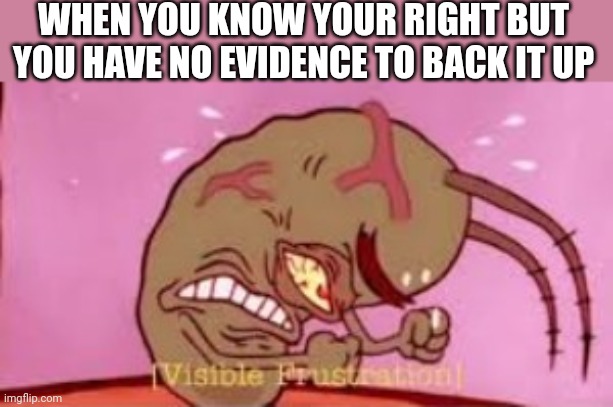Visible Frustration | WHEN YOU KNOW YOUR RIGHT BUT YOU HAVE NO EVIDENCE TO BACK IT UP | image tagged in visible frustration | made w/ Imgflip meme maker