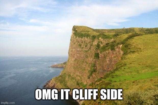 cursed | OMG IT CLIFF SIDE | image tagged in cliff | made w/ Imgflip meme maker