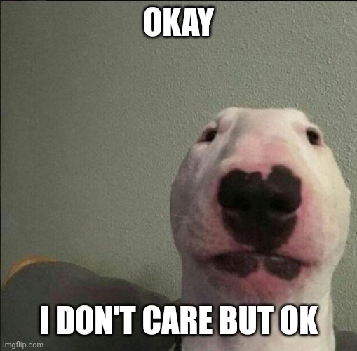 Idk idc | OKAY I DON'T CARE BUT OK | image tagged in idk idc | made w/ Imgflip meme maker