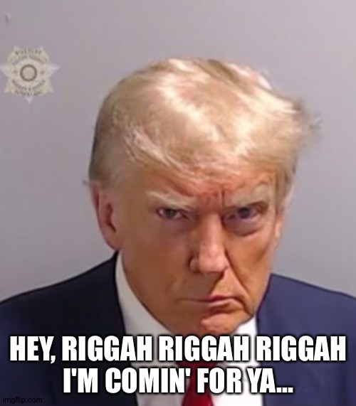 Donald Trump Mugshot | HEY, RIGGAH RIGGAH RIGGAH
I'M COMIN' FOR YA... | image tagged in donald trump mugshot | made w/ Imgflip meme maker