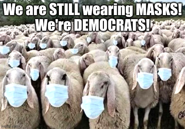 Democrat Sheep: Still Ready To Wear Masks Alone In Their Cars! | image tagged in democrats,sheep,covid,masks,alone,cars | made w/ Imgflip meme maker
