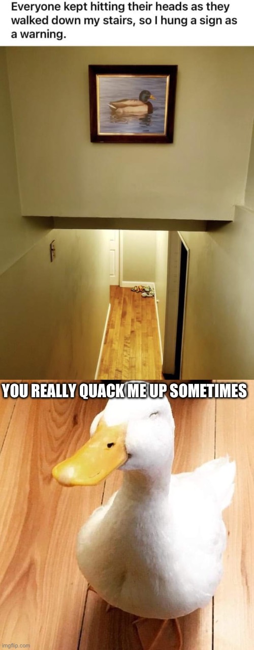 You do | YOU REALLY QUACK ME UP SOMETIMES | image tagged in smile duck,warning sign | made w/ Imgflip meme maker