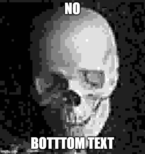 Skull | NO BOTTTOM TEXT | image tagged in skull | made w/ Imgflip meme maker