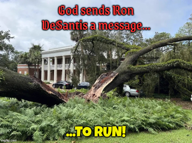 God sends DeSantis a message | God sends Ron DeSantis a message... ...TO RUN! | image tagged in ron desantis,god,hurricane,timber,run,florida idalia | made w/ Imgflip meme maker