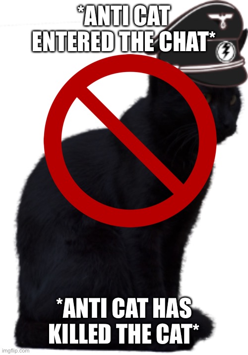 black cat AMT officer | *ANTI CAT ENTERED THE CHAT* *ANTI CAT HAS KILLED THE CAT* | image tagged in black cat amt officer | made w/ Imgflip meme maker