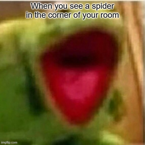 AHHHHHHHHHHHHH | When you see a spider in the corner of your room | image tagged in ahhhhhhhhhhhhh | made w/ Imgflip meme maker