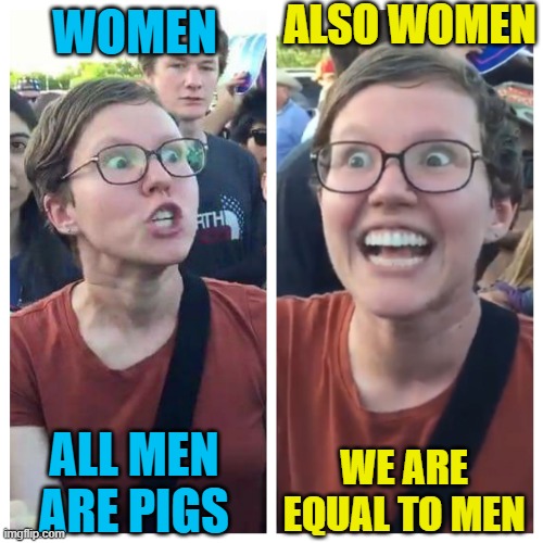 hehe boi | ALSO WOMEN; WOMEN; WE ARE EQUAL TO MEN; ALL MEN ARE PIGS | image tagged in social justice warrior hypocrisy | made w/ Imgflip meme maker