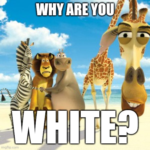 why are you white | WHY ARE YOU WHITE? | image tagged in why are you white | made w/ Imgflip meme maker